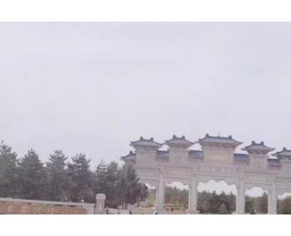 催例假来的方法（不来姨妈怎么催经）